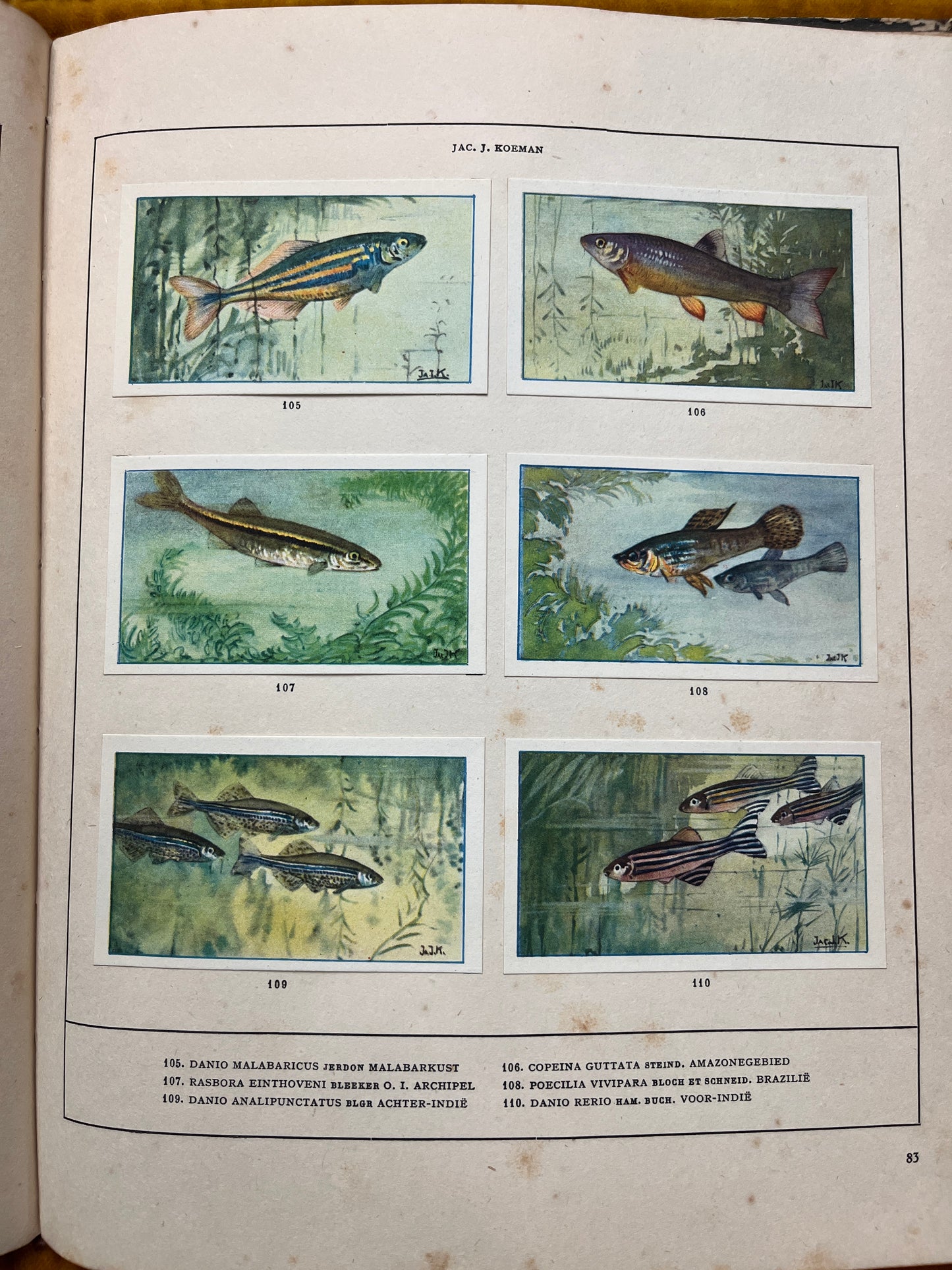 Losse Verkade plaatjes Mijn Aquarium (1925) 105-110